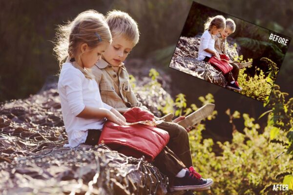 Pack Lightroom Presets Profissionais + Bônus Photoshop - Image 3