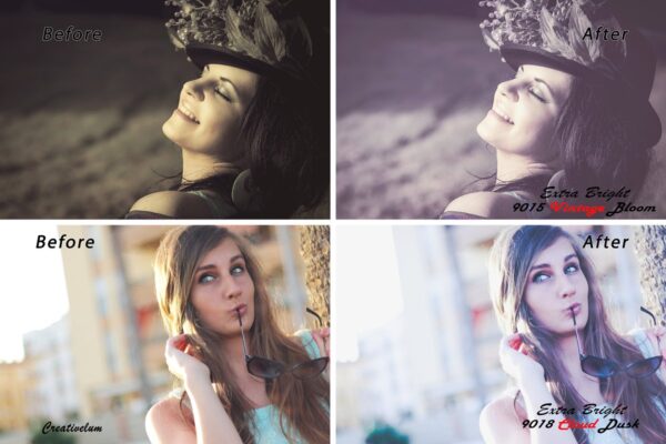 Pack Lightroom Presets Profissionais + Bônus Photoshop - Image 4
