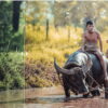 Lightroom Presets Estilo Cinematográfico + Mobile Xmp E DNG - Image 9