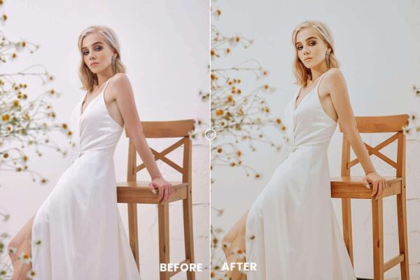 Vintage Lightroom Presets Retro Film Mod dc presets