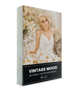 Vintage Lightroom Presets Retro Film Mod dc presets