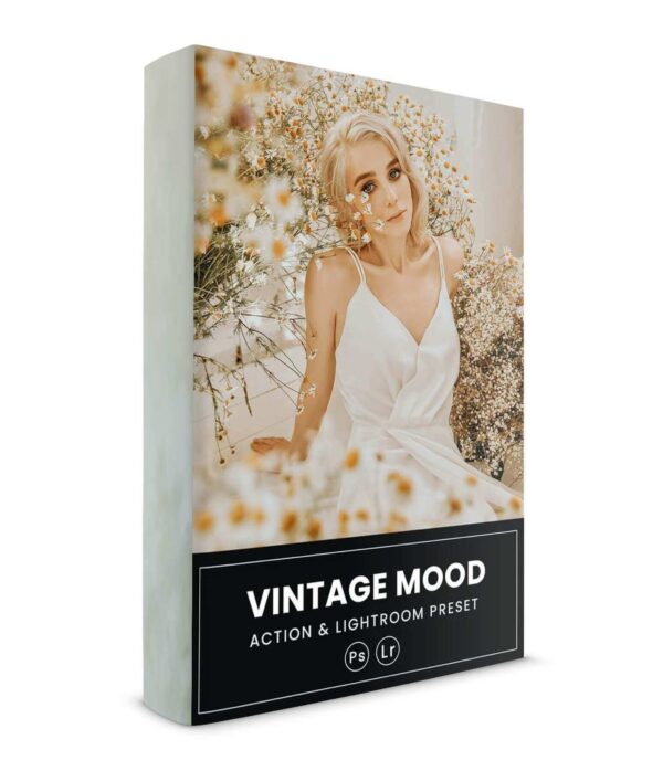 Vintage Lightroom Presets Retro Film Mod dc presets