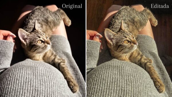 8 Pastel Lightroom Presets Mobile & Desktop - Imagem 4