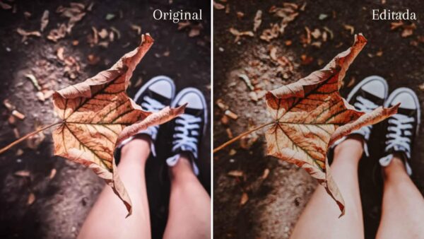 Dark Brown Preset Collection - Imagem 8