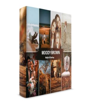 Moody Brown Preset Collection