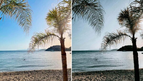 Luxury Black Lightroom Presets True LR Preset Mobile and Desktop - Image 4